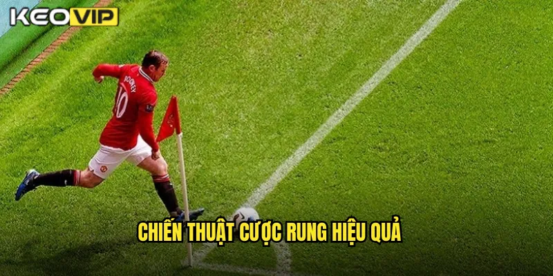 Chiến Thuật Cược Rung Hiệu Quả
