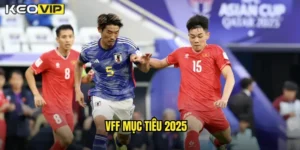 vff mục tiêu 2025