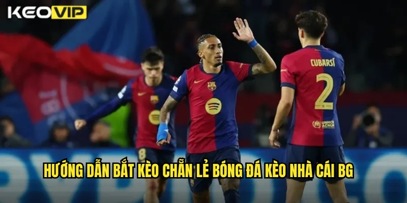 Hướng dẫn bắt kèo chẵn lẻ bóng đá kèo nhà cái BG