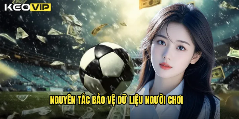 Nguyên tắc bảo vệ dữ liệu người chơi