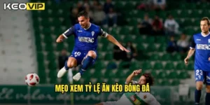 mẹo xem tỷ lệ ăn kèo bóng đá