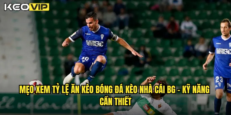 Mẹo xem tỷ lệ ăn kèo bóng đá - Kỹ Năng Cần Thiết