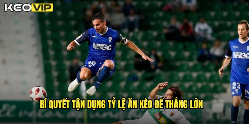 Bí Quyết Tận Dụng Tỷ Lệ Ăn Kèo Để Thắng Lớn