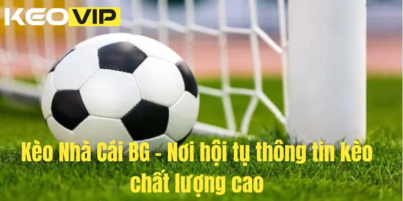 Trang chủ 9 Kèo Nhà Cái BG – Nơi hội tụ thông tin kèo chất lượng cao